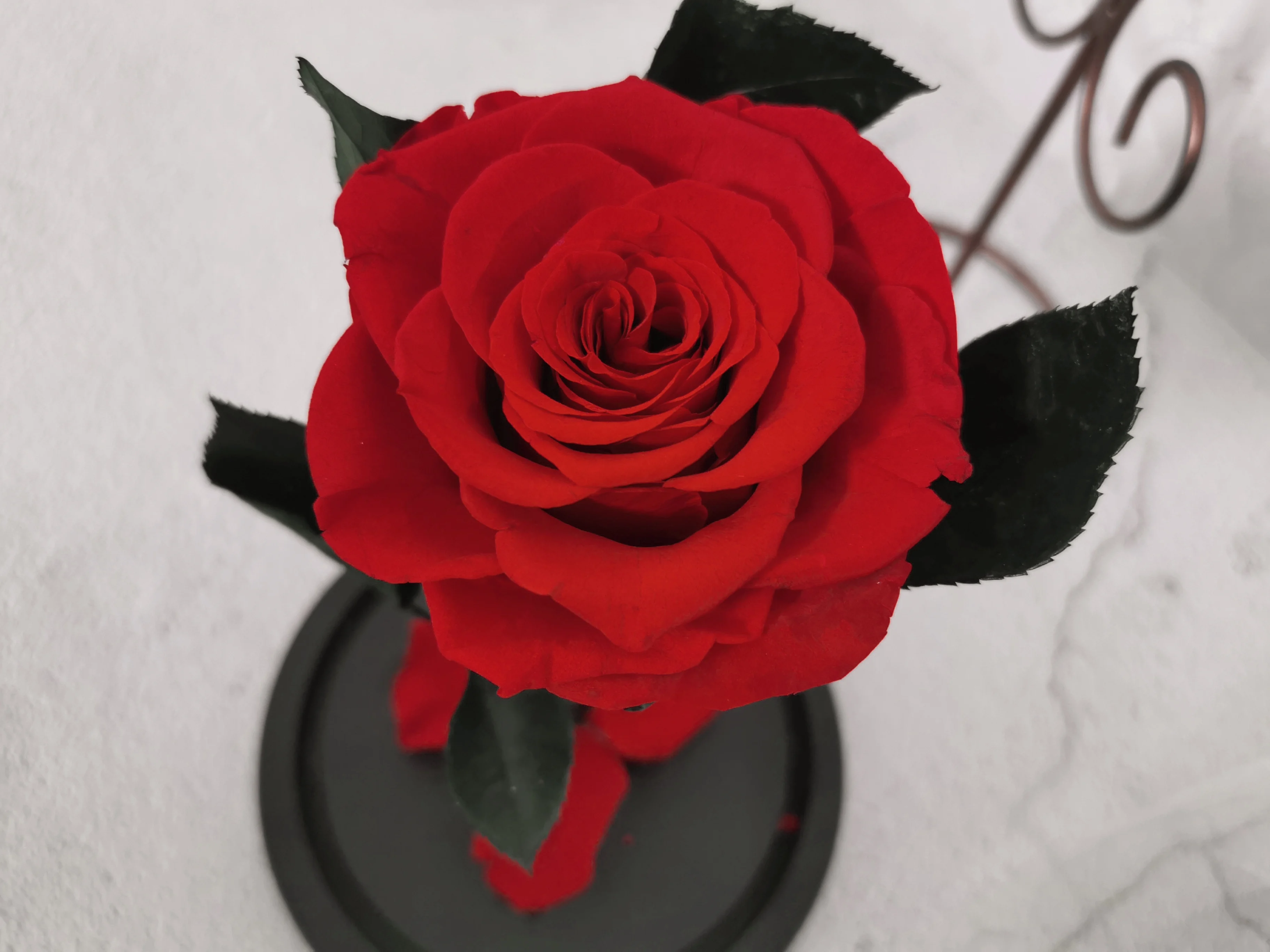 настольная лампа с розами. настольные розы. старт led роза3. настольные светильники из изолона. розы из изолона.