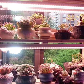 

LED Growing Light Fruits Lamp Tube Wall Lamps Seedlings Energy-saving Plants Seedlings Phytology Household Plant