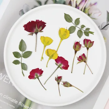 

Rose With Branch Dry Flower Embossing Teaching DIY Manual Glue Dropping Home Decoration Accessories Chrismas Party Supplies