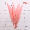 14pcs-pink-53cm