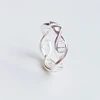 Sole Memory Creative Weaving Hollow DNA Chain Silver Color Resizable Opening Ring For Women Luxury Jewelry SRI516 5