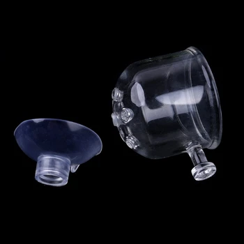 

Glass Pot Plant Cup Holder Shrimp Aquarium Fish Tank Aquatic Feeder Food Cup