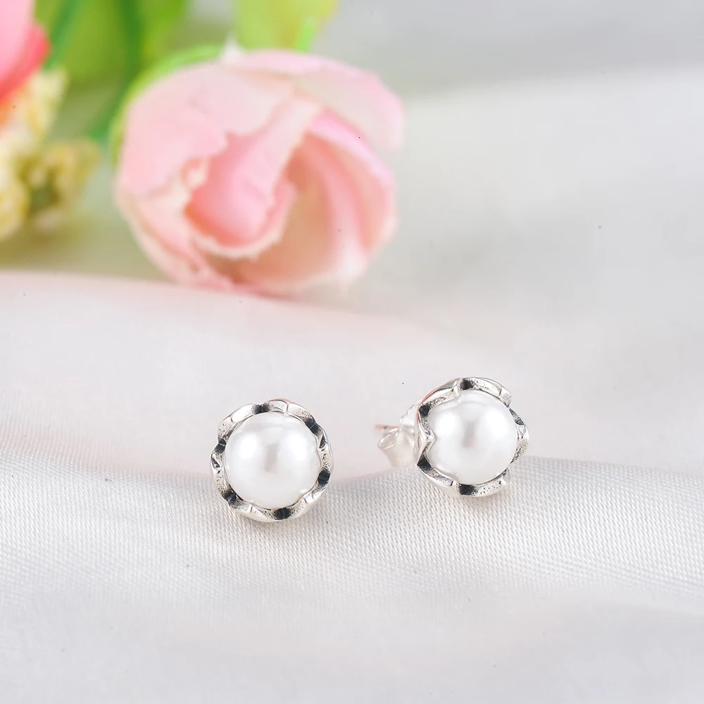 PSER0004-B-6 (1).jpg