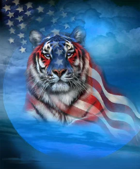 

JMINE Div 5D american flag tiger star Full Diamond Painting cross stitch kits art High Quality Animal 3D paint by diamonds