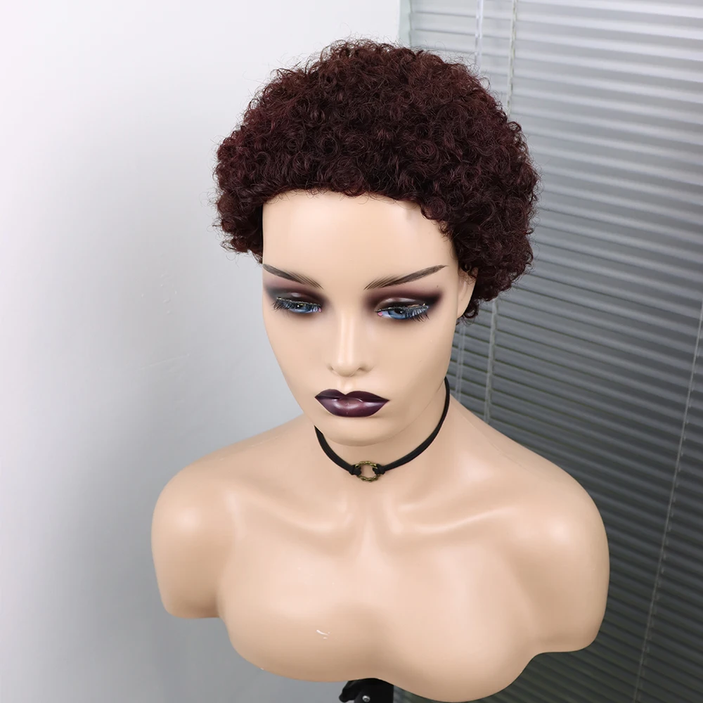 Short Curly Hair Wigs Pixie Cut Brazilian Human Hair For Black Women Natural Black 150% Density Glueless Afro Kinky Curly Wig