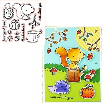 

Cute Squirrel Nuts About You Clear Transparents Silicone Squirrel+Phrases For DIY Scrapbooking Card Making