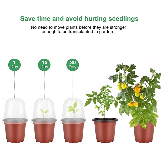 10/30/50 Csomagolnak Növényi Óvodai Edények Vetőmag -Kiinduló Tálcák Páratartalom Kupola Címkék 10 Cm Puha Átlátszó Műanyag Kertészet - Image 2
