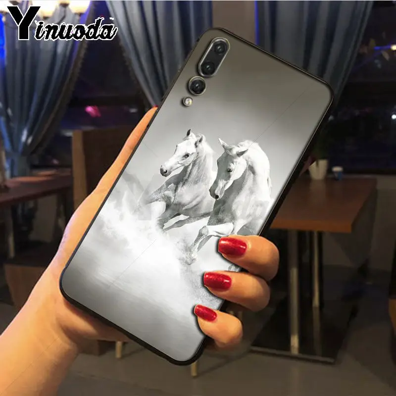 Hot running Horses animal