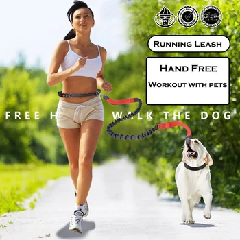 

Walking Training Dogs Leash Running Workout Gym Pet Dog Cat Running Jogging Waist Belt Reflective Strip Elastic Leash Accessorie