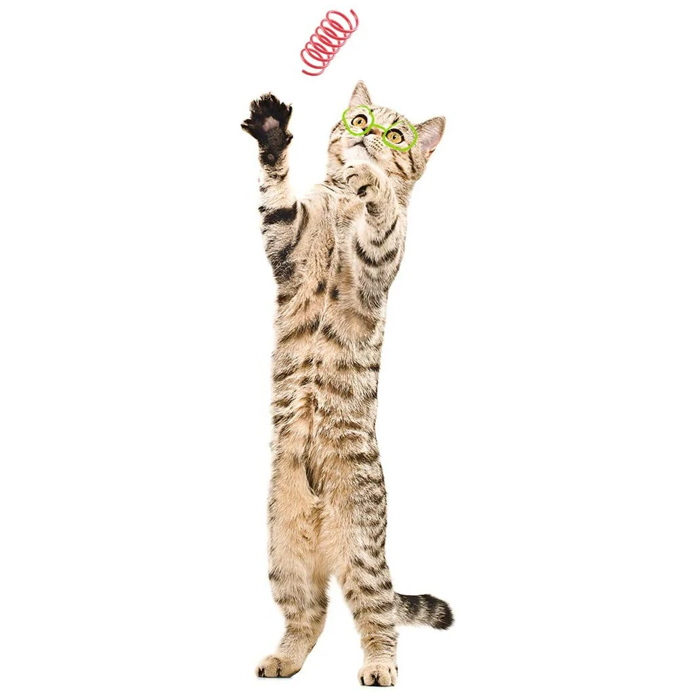 4pcs Kitten Cat Toys Durable Cat Spring Toy Colorful Springs Pet Toy Coil Spiral Springs Pet Life