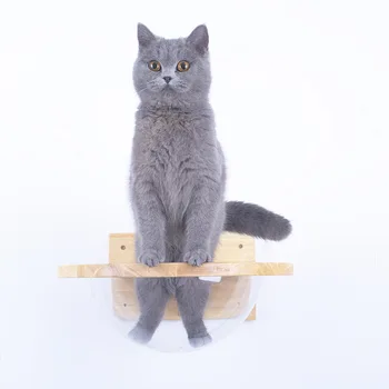 

Solid wood cat climbing frame wall space capsule cat transparent cover cat litter increases sturdy and durable diameter 40cm