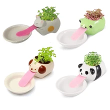 Cute Polar /Bear Blue /Bear Monkey Ceramic Flower Pot Small Cartoon Planter Succulent Plants Bonsai Cactus Pot Home Garden