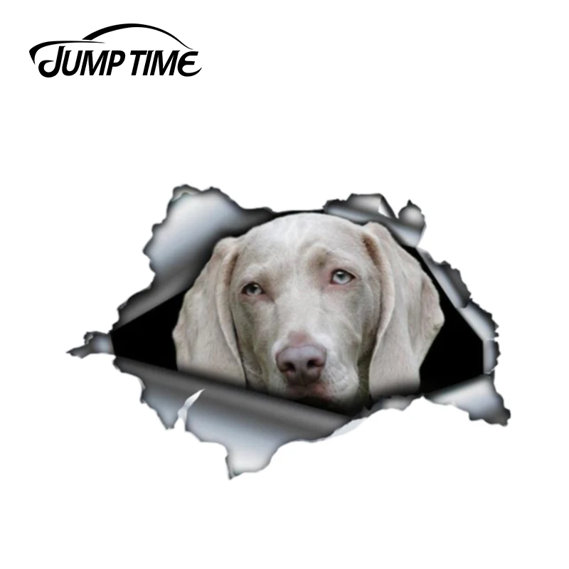 Прыгать время 13 см x 8 серый weimaraner автомобиля наклейка на бампер автомобильные