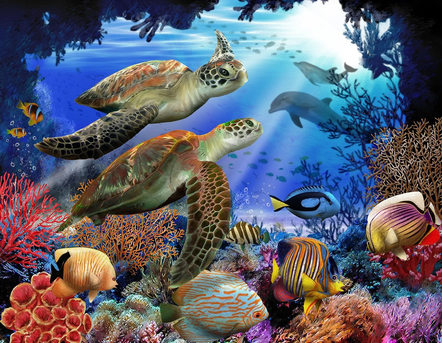 Turtlefishpaint