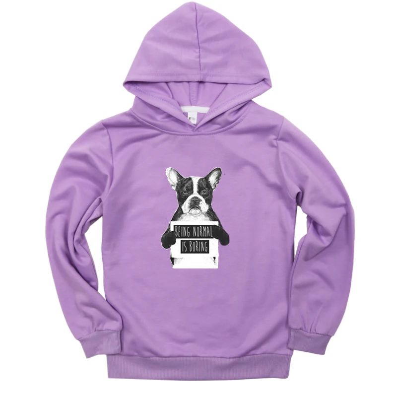 Hoodies 8 Толстовки хлопковые детские толстовки для маленьких мальчиков и девочек детская одежда с принтом собаки свитер с длинными рукавами Спортивная одежда для малышей Детская толстовка - Цвет: Hoodies 8