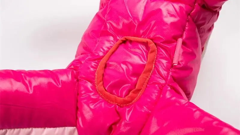 QQ图片20191021105453