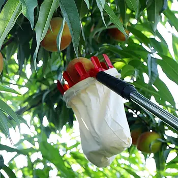 

Practical Metal Fruit Picker Convenient Fabric Orchard Gardening Apple Peach High Tree Picking Tools For Garden Orchard Tools