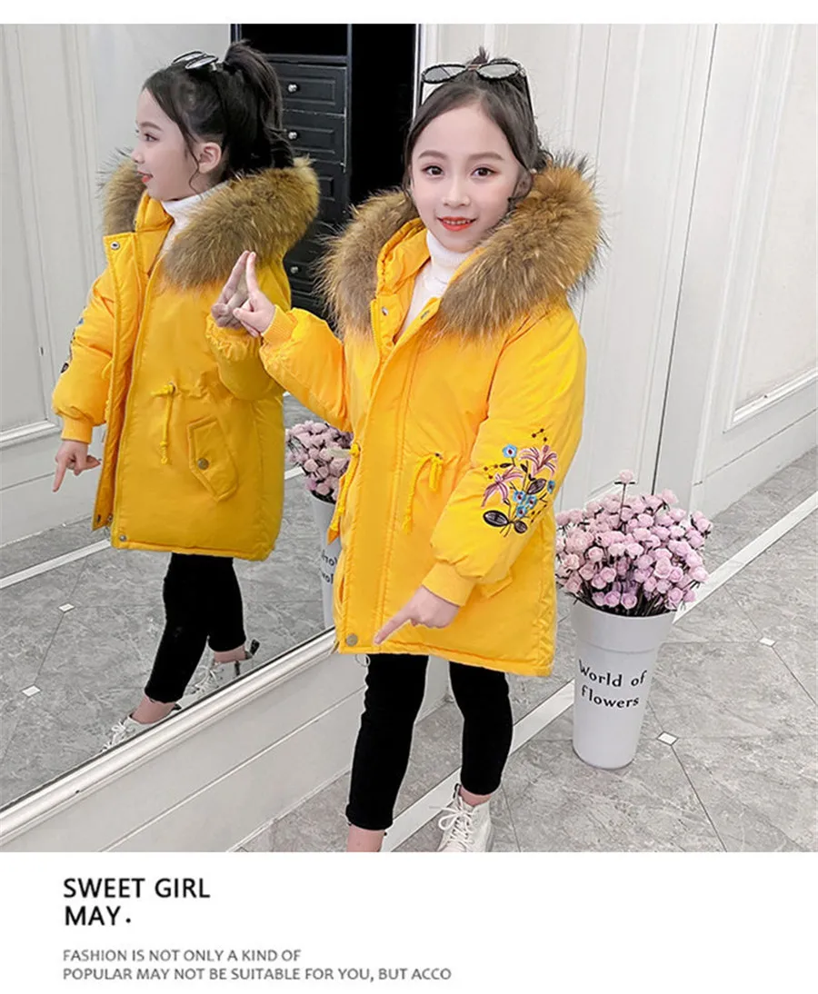 新建文件夹1599912832738