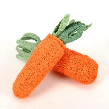 

2pc Molar Toy Carrot Shaped Loofah Healthy Pet Supplies for Rabbit Hamster