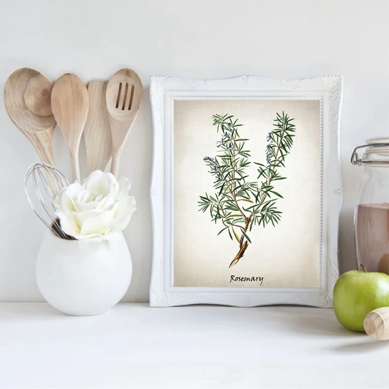 Herb-Canvas-Art-Painting-Vintage-Herbal-Illustrations-Posters-and-Prints-Culinary-Herbs-Botanical-Kitchen-Wall-Art (1)