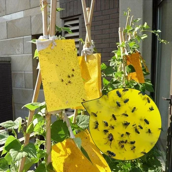 

Catching Aphid Popular Fly Trap Bugs Sticky Board Pest Killer Outdoor High Quality For Aphids Insects Flies Traps Strong 1PC