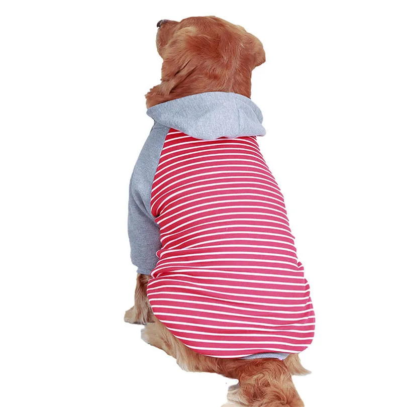 Pet Hoodie 9