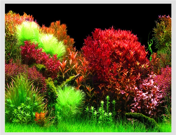 

Double-Sided Aquarium Plant Background Wallpaper Fish Tank Decorative Backdrop Romantic Photography Image Decor Wallpaper