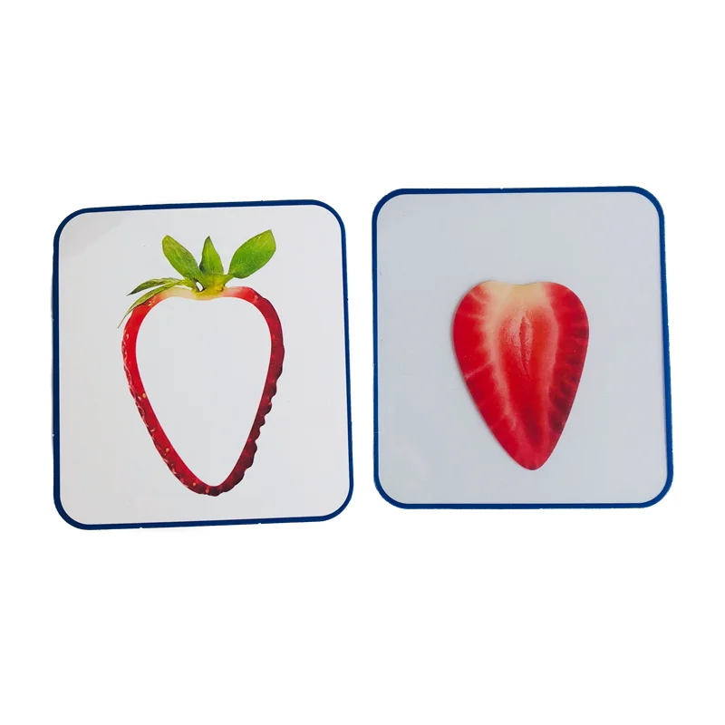Montessori Language Materials Vegetable Fruit Cognitive Cards Kids Learning Resource Matching Game Early Childhood Education Toy 4