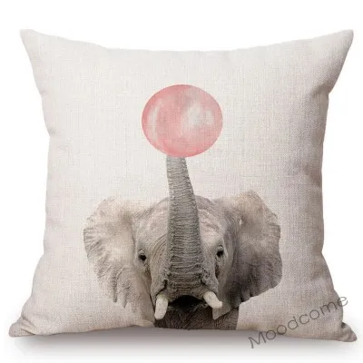 conew_n289 (2) 副本