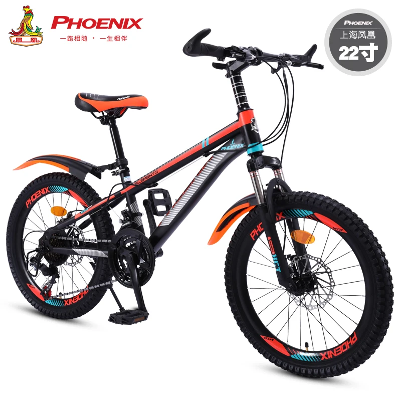 22 inch boys bike