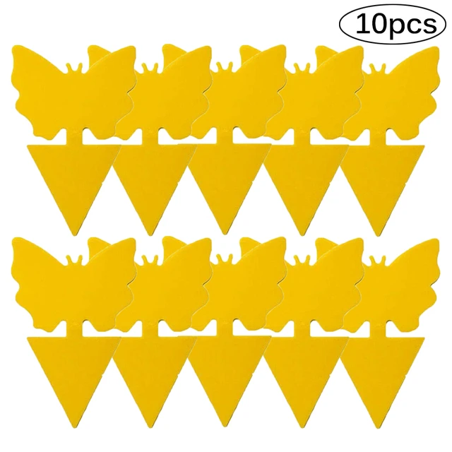 10pcs butterfly