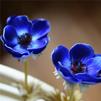 

Artificial Anemones Flowers Real Touch Poppy Branches Navy Center For Wedding Bouquets Centerpieces DIY Home Decoration 10pc