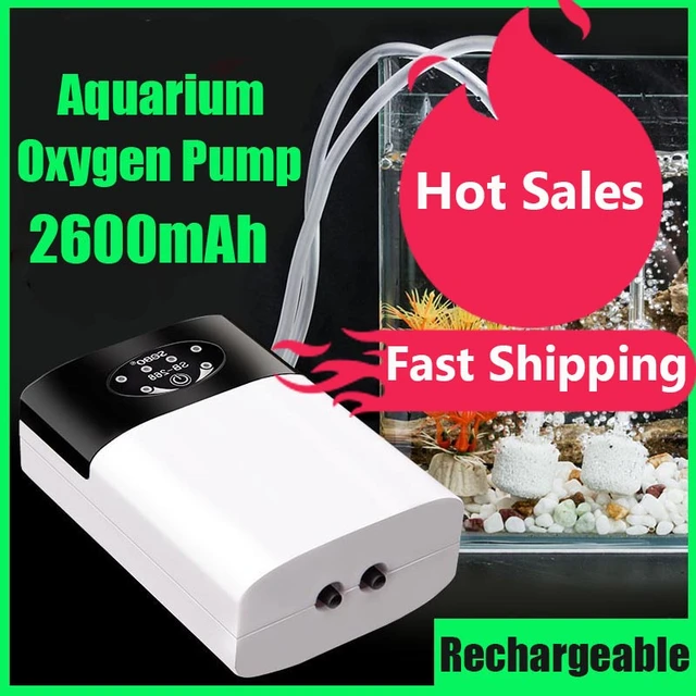 Pompe à oxygène portable pour aquarium de pêche, compresseur d'air, précieux  poisson, chargement USB, 2600mAh