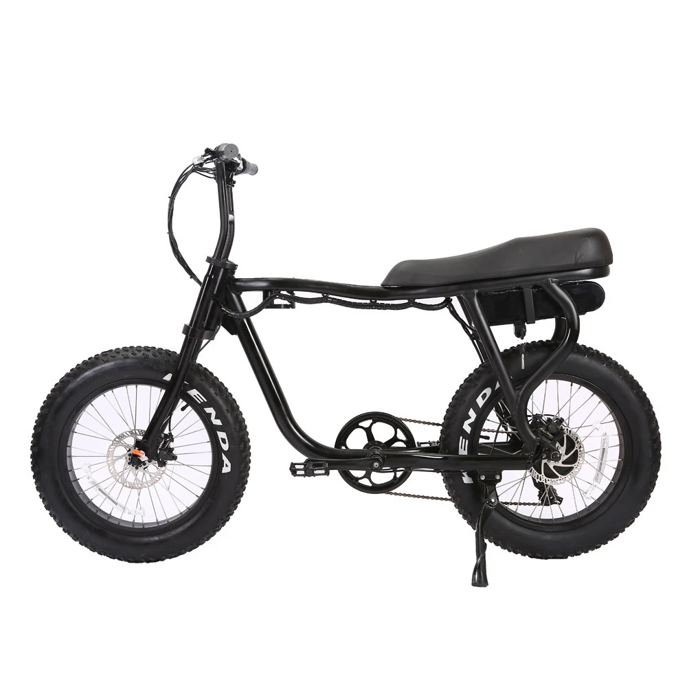 2 seater motorized bicycle
