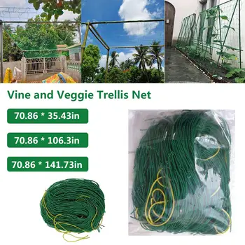 

Durable Nylon Vegetables Grow Trellis Net multi-strand Vine Cucumber bean planting net for climbing plants