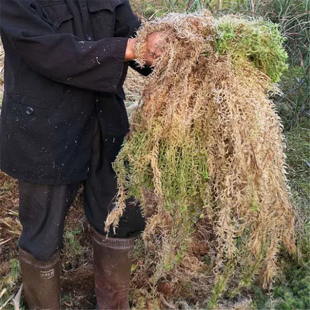 1Dc -Os Sphagnum Tápláló Talaj Összetett Műtrágya Száraz Moha Szerves Kerti Virágokhoz Clivia Orchidea Táplálkozási - Image 5