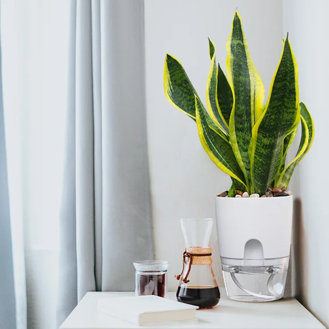 2 Rétegű Automatikus Ön Öntözés Ültetvényes Virágcserép -Öntözött Virág Edény Váza Ültetési Víztartály Ültető Kosár - Image 4