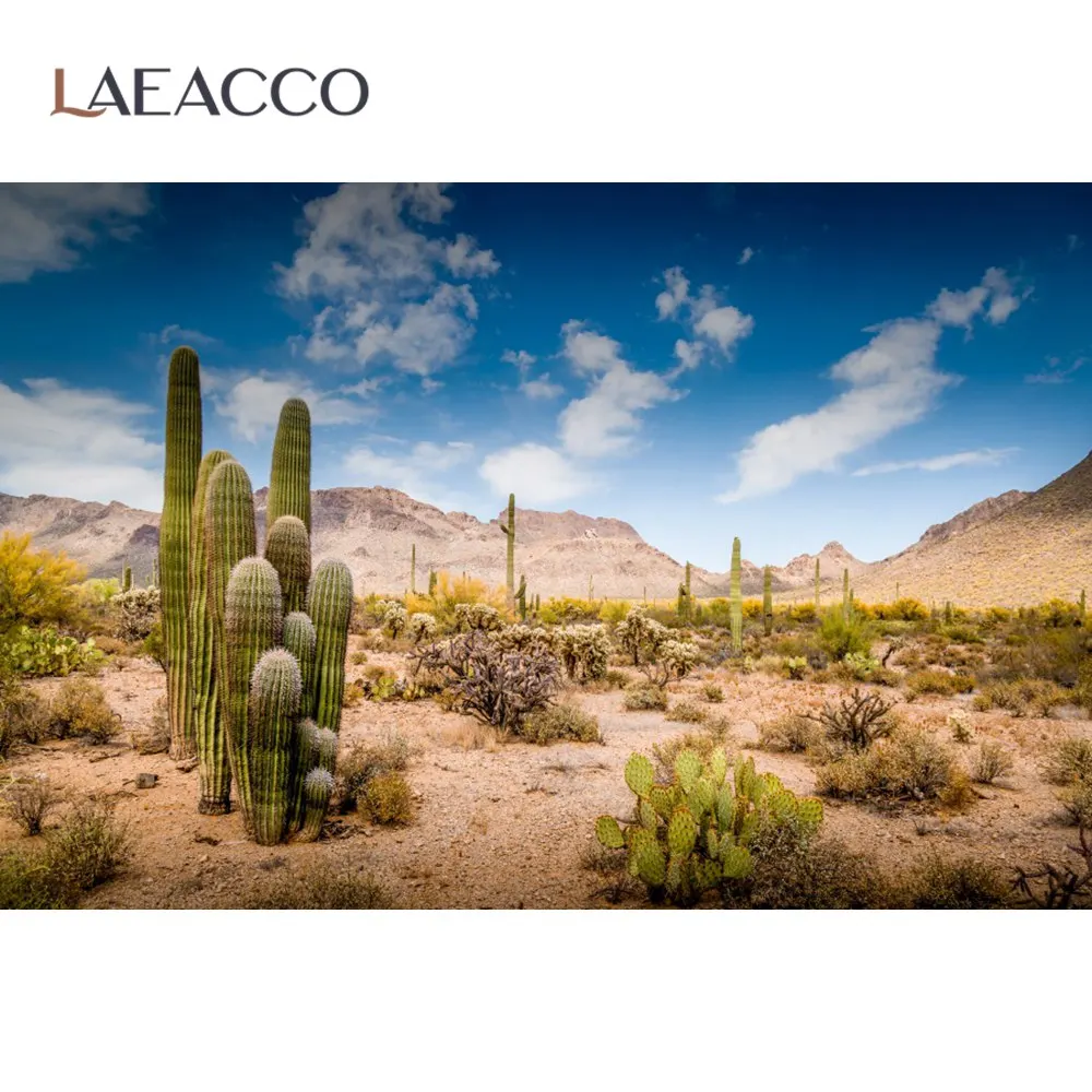Laeacco  縷   Ǫ ϴ , ڿ ǳ  ,  Ʃ  