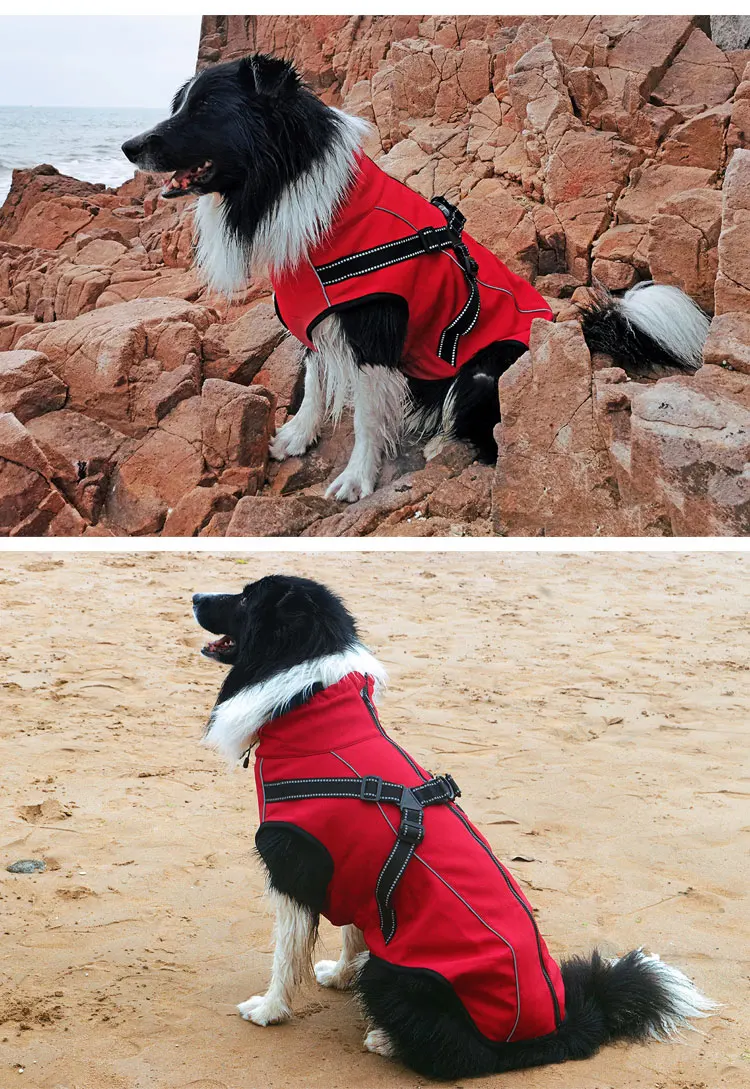 O1CN01568UMk1QkucGkOWXj_!!2340322015