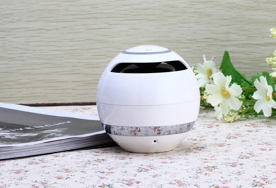 4437969942_1566264084