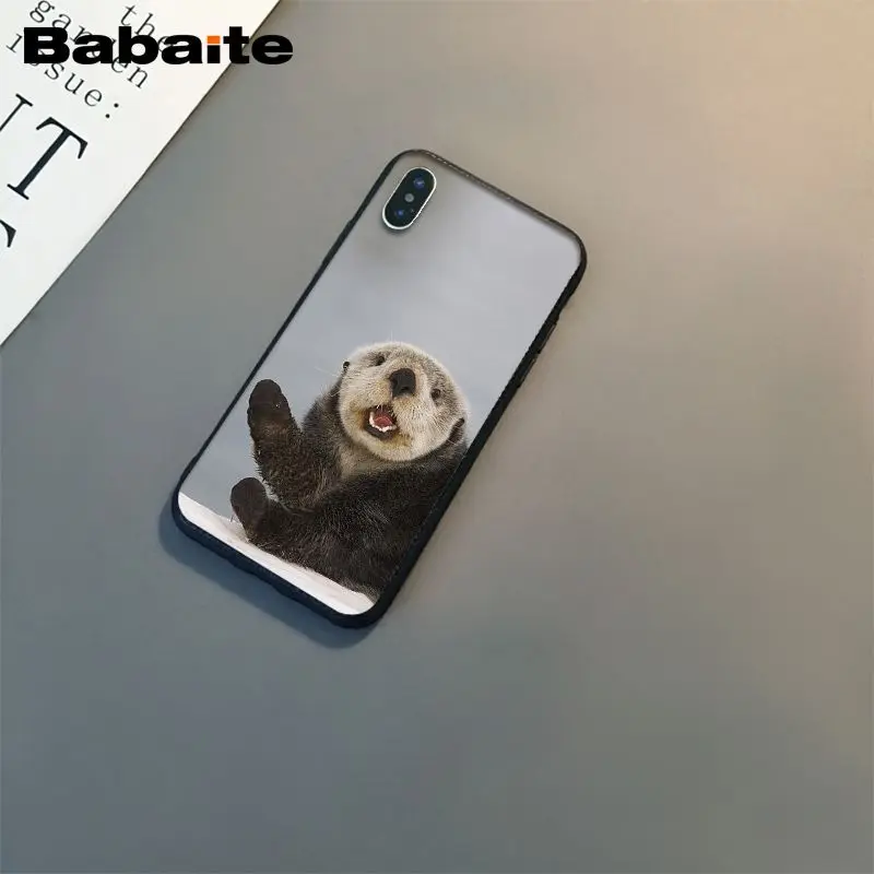 lovely cute Otter water animal