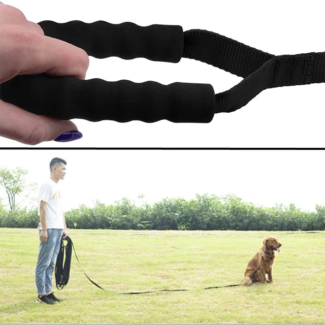 Long Nylon Rope Dog Lanyard Recall Training - 3m 6m 10m 15m 20m 30m Pet Leash - Great for Outdoor Play, Camping or Backyard 5