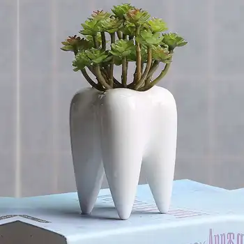 

New Tooth Shape Flower Pot Green Succulent Planter Cactus Container Ceramic Gardening Bonsai Pots Table Plant Pot For Home Decor