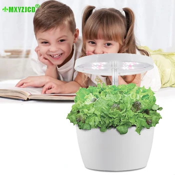 

Vegetable Planting Machine Indoor Soilless Cultivation Equipment LED Lamp Automatic Water Absorption Plastic Flower Pot