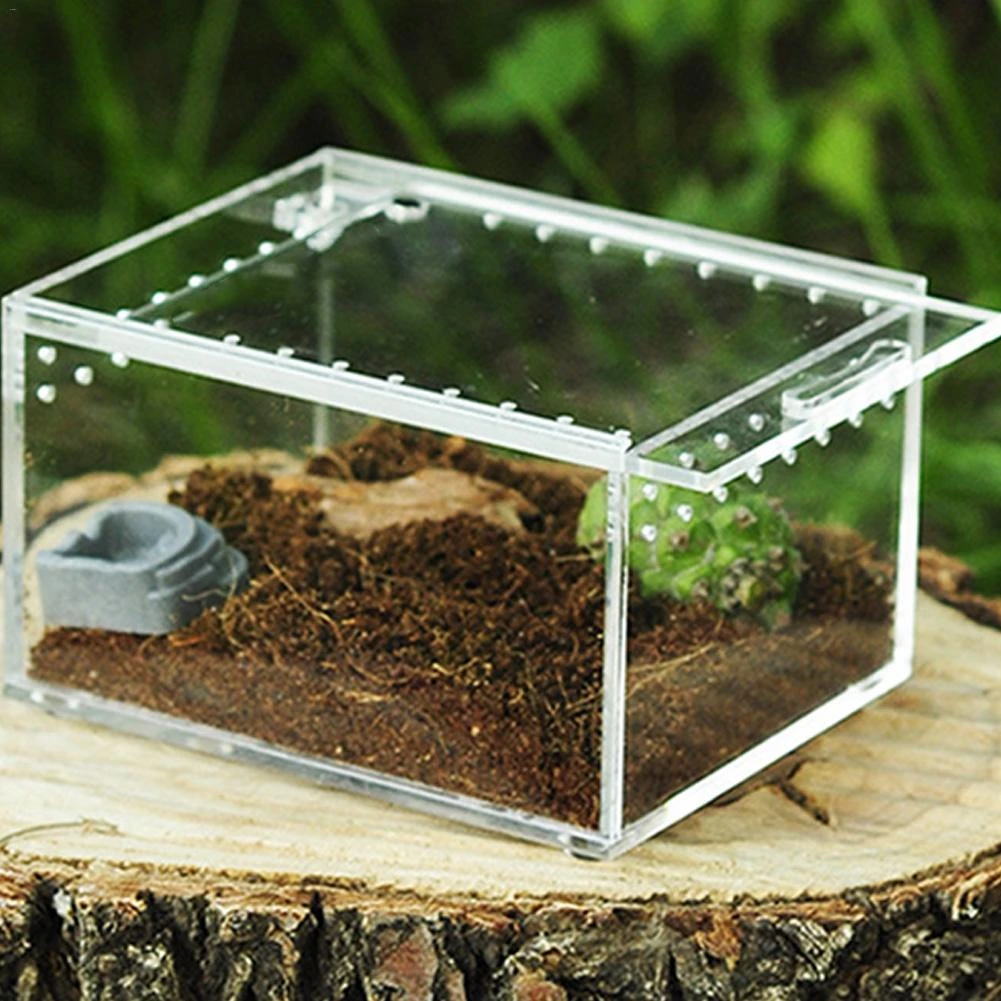 Reptile Breeding Box Acrylic Transparent Sliding Cover Reptile Tank Insect Spiders Tortoise Lizard Feeding Box Terrarium Terrariums Aliexpress