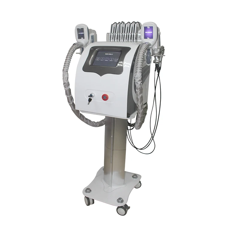 

Portable weight loss machine / frozen fat dissolver frozen fat cell body fat freezing and dissolving machine 2 handle