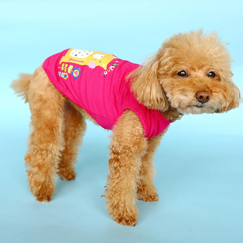 13676794320_1853267267