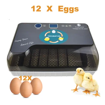 

12Eggs Farm Hatchery Incubator Brooder Machine Hatchers Cheap Price Chicken Automatic Eggs Incubator Bird Quail Brooder