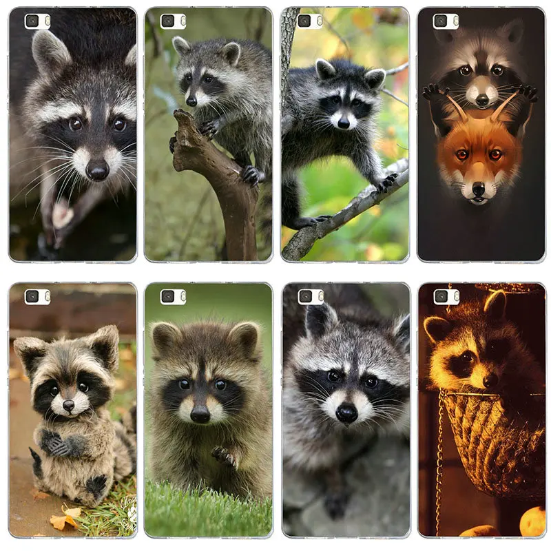 Fashion Cute Little Raccoon For Huawei P8 P9 P10 P20 P30 Lite Mate 10 Pro Y3 Y5 Y6 II Y7 Honor 6X 7X 9 Plus Soft TPU Phone Cases |
