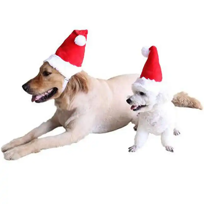 puppy christmas hat